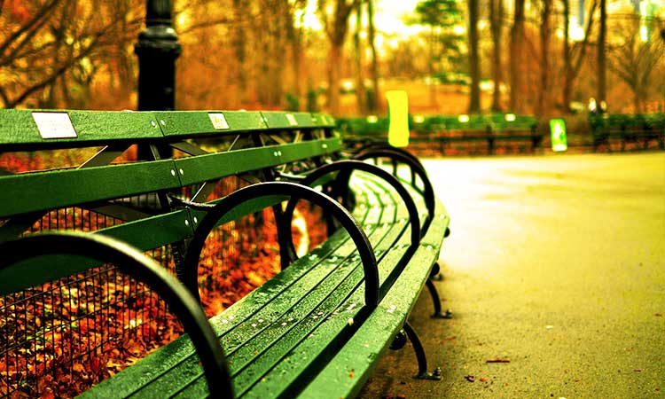bench in Central Park